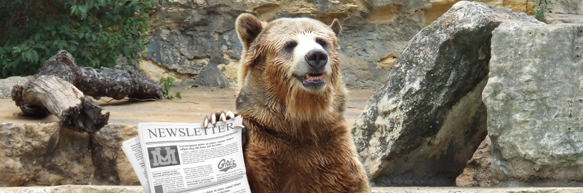 Grizzly bear holding a newsletter